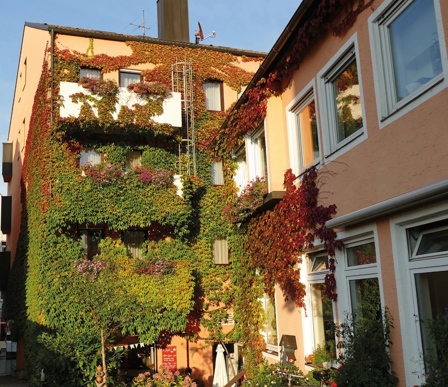 Hasi'S Hotel Grafing Kültér fotó